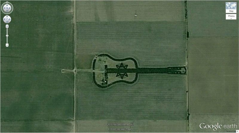 Guitar-Shaped Forest