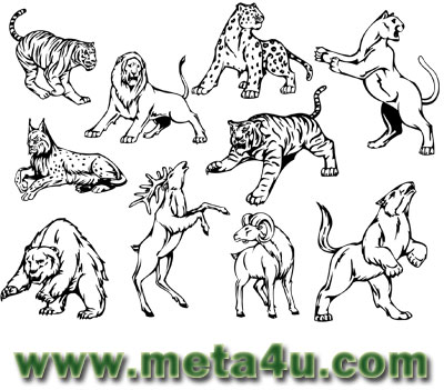 10-Animal-Vector-Mascots-meta4u-وکتور.jpg