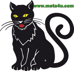 cat-image-meta4u-وکتور.jpg
