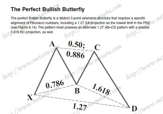 the perfect bullish butterfly.JPG