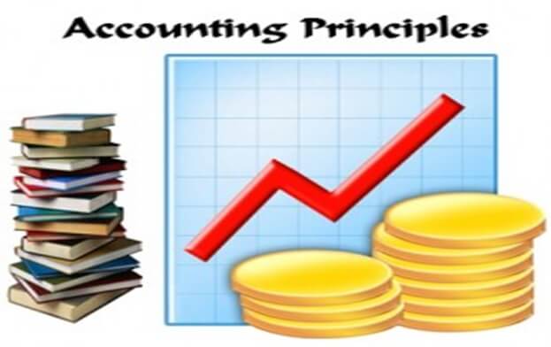 اصول پذیرفته شده حسابداری, Accounting principles