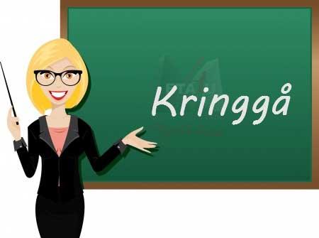 دور زدن قانون، قانون را دور زدن، گذرگاه  kringgå, kringgår, kringgick, kringgått